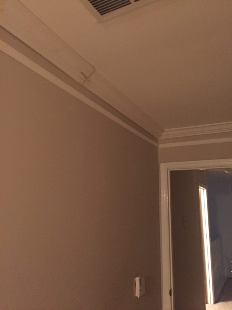Beefed up Crown Molding