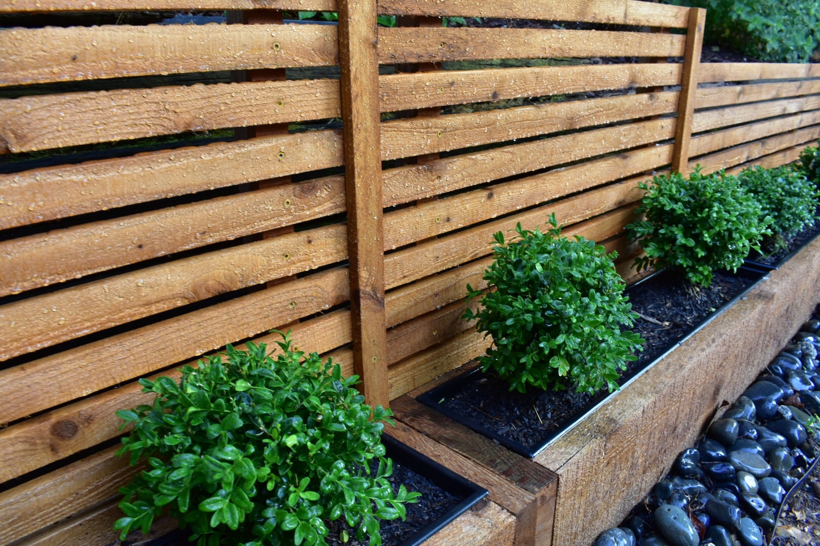 DIY Cedar Planter Boxes with Trellis/Privacy Screen