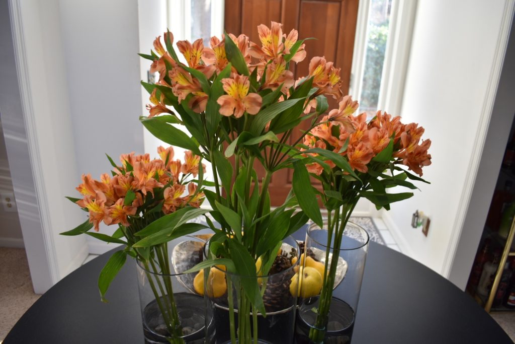 Make your own flower arrangements using grocery store flowers.